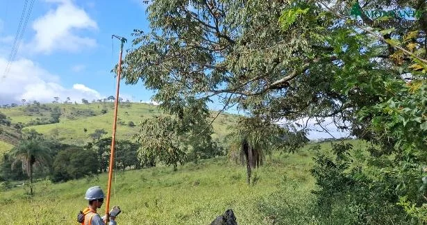 Coleta de sementes com podão de alta poda em matriz nativa