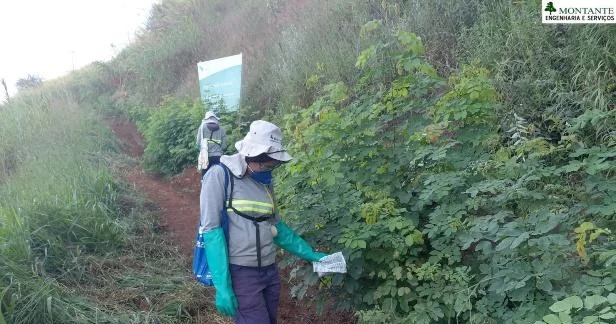 Aplicação de isca formicida no controle de formigas cortadeiras