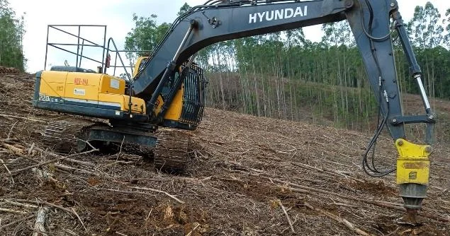 Eliminação mecanizada de tocos para controle de brotação