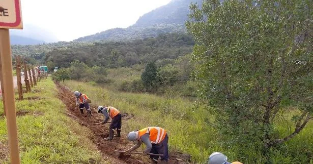 Abertura manual de covas em linha de plantio