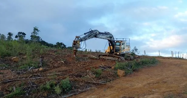 Escavadeira com implemento de coveamento em área preparada