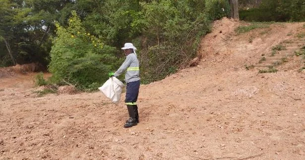 Semeadura direta a lanço em talude preparado para revegetação